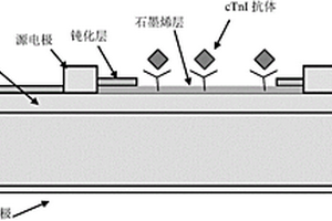 基于石墨烯的化學(xué)或生物傳感器及其制作方法