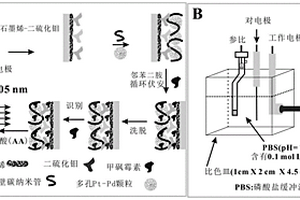 甲砜霉素分子印跡電化學傳感器的應用