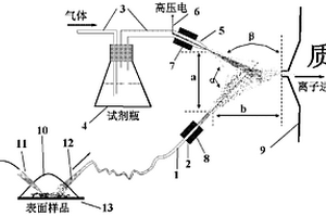 常壓化學(xué)萃取電離源