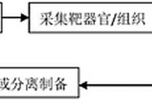 基于“線粒體藥理學”與“線粒體藥物化學”的中藥藥效物質(zhì)研究方法