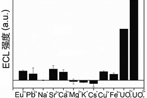 用于檢測痕量鈾酰離子的探針及基于其的便攜式ECL檢測器