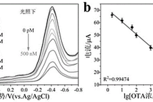 檢測(cè)赭曲霉毒素A的電化學(xué)傳感分析方法
