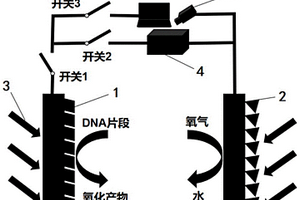 用于檢測DNA片段的自供能傳感裝置與檢測方法