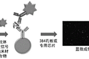 單分子定量檢測方法及檢測系統(tǒng)