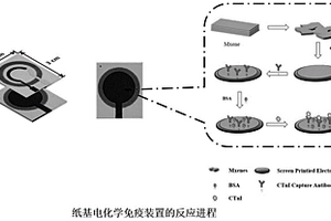 基于電化學(xué)分析用單層MXene增強(qiáng)信號(hào)檢測(cè)心肌肌鈣蛋白I的微流體紙基傳感器