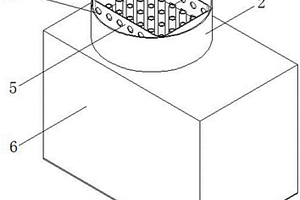 適用于化學(xué)發(fā)光免疫分析儀的磁微?；瘜W(xué)發(fā)光檢測(cè)裝置