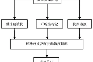 檢測(cè)風(fēng)疹病毒IgM抗體的化學(xué)發(fā)光免疫分析試劑盒