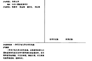 用于電化學(xué)分析的電極