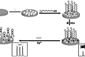 檢測(cè)Hg<Sup>2+</Sup>的自增強(qiáng)電化學(xué)發(fā)光適配體傳感器的制備方法