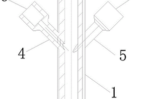 用于全自動化學(xué)發(fā)光免疫分析儀的洗針器