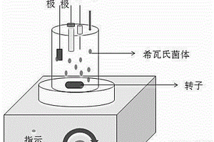 維生素B2的生物電化學(xué)檢測(cè)方法