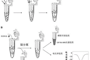 基于中空金納米粒-DNA復合物的生物/化學檢測試劑和檢測方法