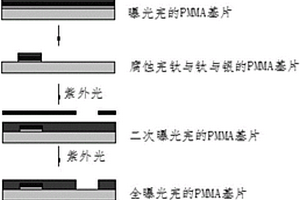 基于集成三電極體系微芯片的電化學(xué)與電化學(xué)發(fā)光檢測(cè)方法