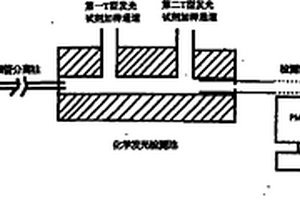 毛細(xì)管電泳-化學(xué)發(fā)光法檢測非衍生氨基酸的方法及其檢測裝置