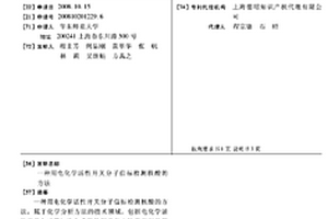 用電化學(xué)活性開關(guān)分子信標(biāo)檢測(cè)核酸的方法