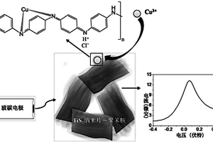 用于痕量銅離子檢測(cè)的TiS2納米片-聚苯胺基電化學(xué)傳感器的制備方法及其應(yīng)用