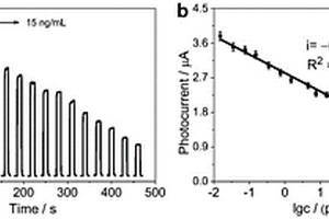 檢測(cè)SARS-CoV-2 S蛋白的納米抗體光電化學(xué)免疫傳感器的構(gòu)建方法和用途