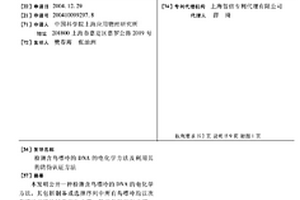 檢測(cè)含鳥嘌呤的DNA的電化學(xué)方法及利用其的防偽認(rèn)證方法