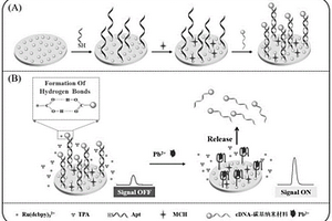 靈敏度可控的Pb2+誘導(dǎo)的雙放大電化學(xué)發(fā)光檢測(cè)方法