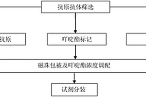 檢測巨細(xì)胞病毒IgG抗體化學(xué)發(fā)光免疫分析測定試劑盒及其制備方法