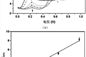 比率型電化學(xué)檢測(cè)亞硝酸根離子的方法