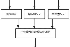 檢測人生長激素化學(xué)發(fā)光免疫分析測定試劑盒及其制備方法