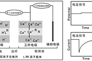 基于離子遷移放大效應(yīng)的聚合物敏感膜的高精度電化學(xué)檢測(cè)方法