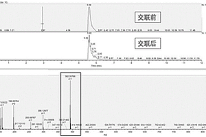 基于化學蛋白質(zhì)組學的激酶富集檢測方法