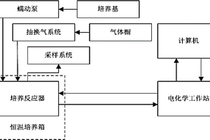 用于連續(xù)培養(yǎng)、采樣與實時檢測的微生物電化學系統(tǒng)