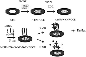 用于羥自由基檢測(cè)的N-CNF/AuNPs基電化學(xué)生物傳感方法