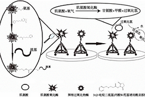 用于肌氨酸的電化學檢測方法