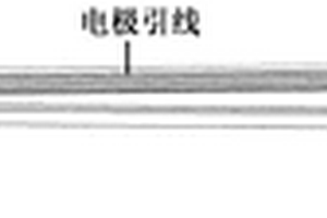 用于動(dòng)物腦內(nèi)多巴胺濃度檢測(cè)微型電化學(xué)傳感器制備