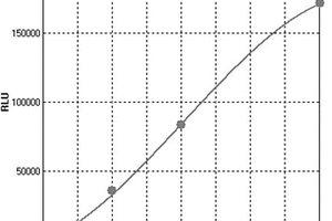 中樞神經(jīng)特異蛋白的化學(xué)發(fā)光酶聯(lián)免疫檢測(cè)試劑盒