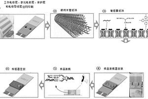 用于檢測病毒的電化學傳感器及其制備方法