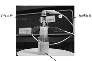 檢測(cè)水體毒性的雙信號(hào)生物電化學(xué)方法