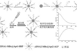 化學(xué)發(fā)光酶聯(lián)核酸適體同步檢測(cè)VEGF與CEA的方法