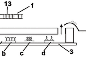 針對(duì)前列腺癌不同類型血清標(biāo)志物進(jìn)行同時(shí)檢測(cè)的微流控電化學(xué)生物傳感系統(tǒng)