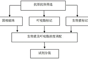 異常凝血酶原化學(xué)發(fā)光免疫檢測(cè)試劑盒及其制備方法