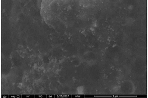 AFB<sub>1</sub>電化學免疫傳感器及其制備方法及其用于AFB<sub>1</sub>的檢測