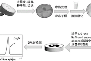 冬瓜和牛奶制備用于鉛離子檢測(cè)的電化學(xué)傳感器的方法