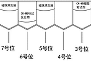 肌酸激酶同工酶磁微?；瘜W發(fā)光定量檢測試劑盒及其使用方法