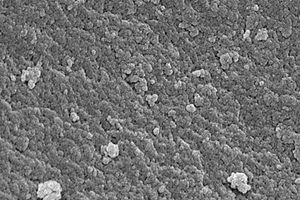 β<sub>2</sub>-受體興奮劑的廣譜特異性分子印跡聚合物、化學發(fā)光試劑盒及檢測方法和應用