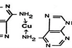 基于銅離子增敏的腺嘌呤和鳥嘌呤電化學(xué)檢測方法