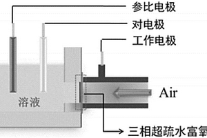 富氧抗干擾的葡萄糖電化學檢測方法