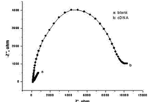 檢測腫瘤標志物的生物電化學傳感器及其制備方法