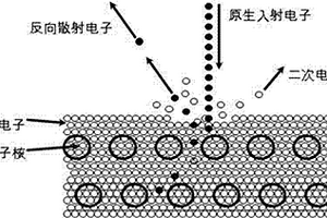 檢測源極多晶硅經(jīng)化學機械研磨后表面異常的方法