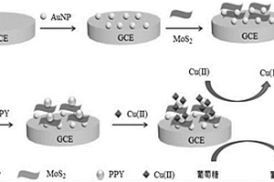 基于MoS<sub>2</sub>-AuNPs-PPY復(fù)合材料無酶檢測(cè)葡萄糖的電化學(xué)傳感方法