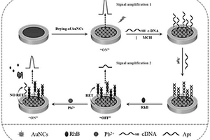 雙信號放大電化學(xué)發(fā)光適配體傳感器的制備方法及其檢測Pb2+的應(yīng)用