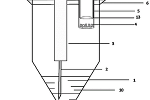 爆珠內(nèi)容物化學(xué)物質(zhì)檢測(cè)的前處理裝置及應(yīng)用