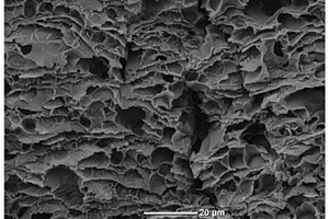 檢測(cè)17 β-雌二醇的電化學(xué)傳感器及其制備和使用方法